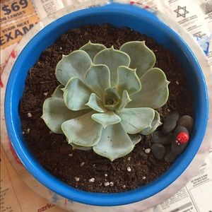 Meet your Posher, Cristina